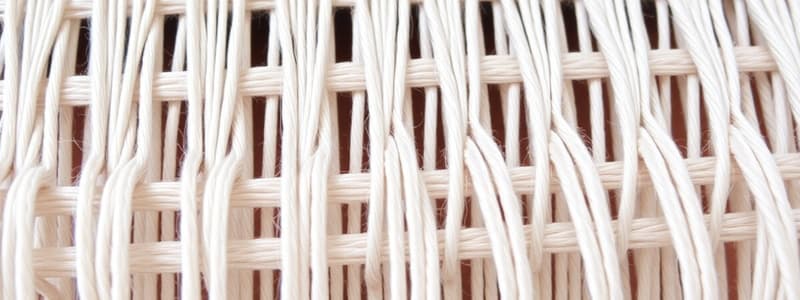 Textile Weaving: Warp Rib Techniques