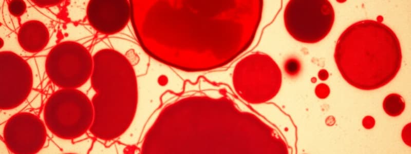 Hematology: Supravital Stains and Erythropoiesis