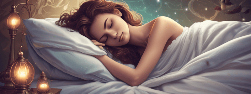 Sleep Stages and Their Importance