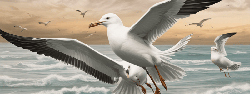 Seagulls: Habitat, Diet, and Behavior