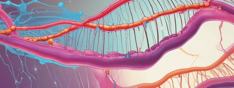 Glycolysis: Allosteric Regulation and Glucose Uptake