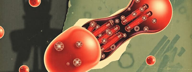 Transport Vesicles in Eukaryotic Cells