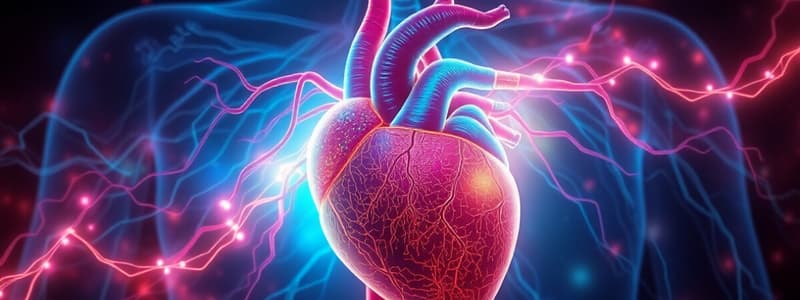 Circulation through Heart: Quiz