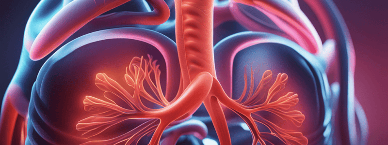 Chapter 19 Respiratory Emergencies