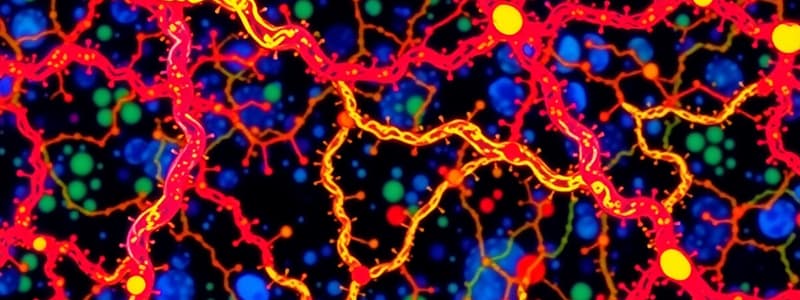 Cell-Matrix Junctions and Integrins