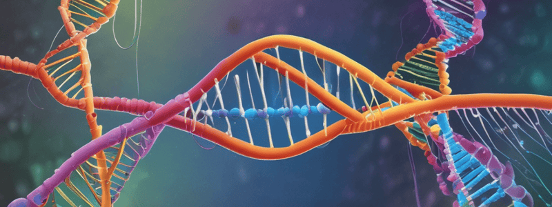 DNA Replication and Repair