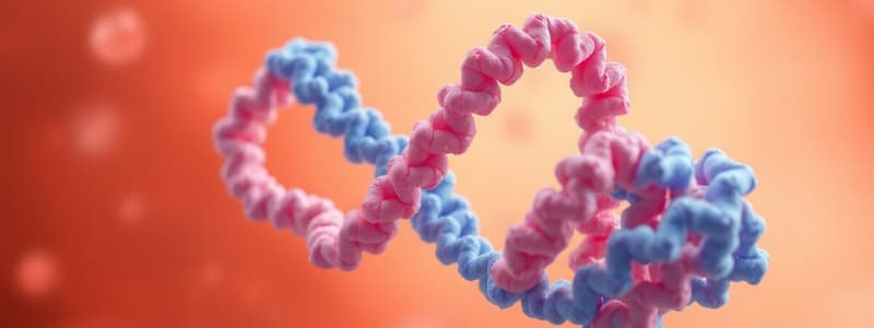 Biochem 2.3   Protein Folding and Stability