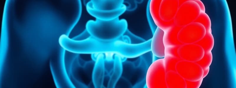 Renal Calculi: Etiology and Risk Factors