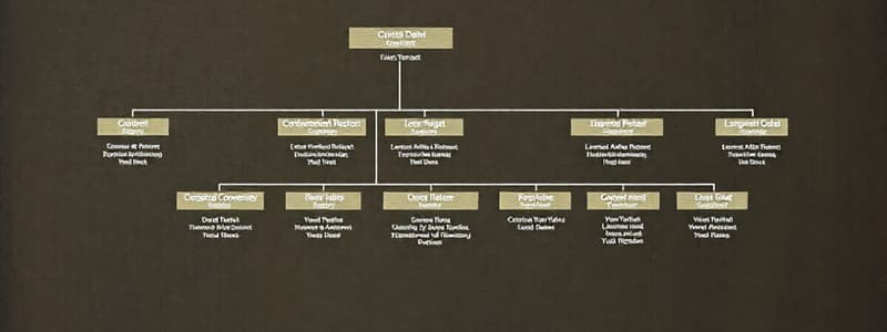 Structura organizatorică - Quiz