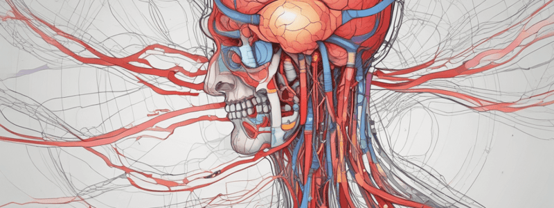 Neurofisiología: Flujo Sanguíneo Cerebral