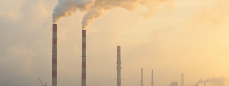 Air Pollution: Causes and Effects Quiz