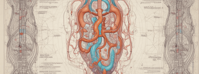 Nephron Structure and Function Quiz