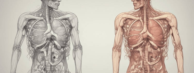 The Respiratory System