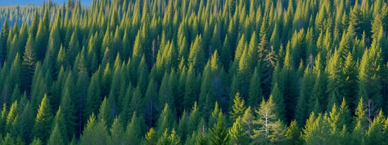 Taiga and Coniferous Forests