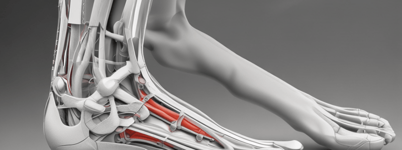 Peroneal Tendon Subluxation