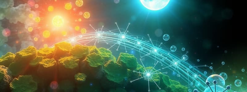 Photosynthesis Overview and Process