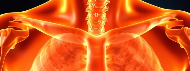 Endocrine Regulation Quiz