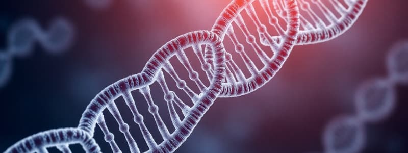 Nucleic Acid Structure and DNA Replication