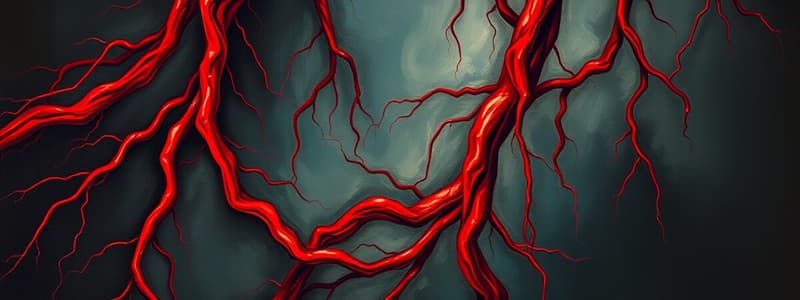 Blood Flow and Cross-Sectional Areas