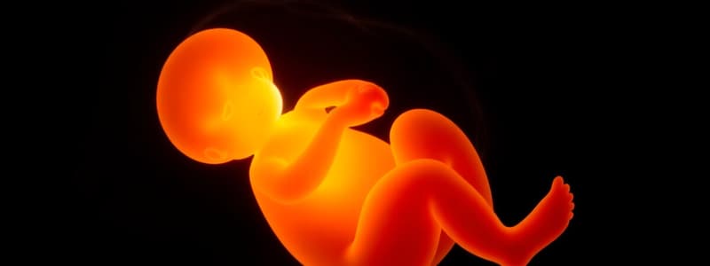 Embryology Basics Quiz