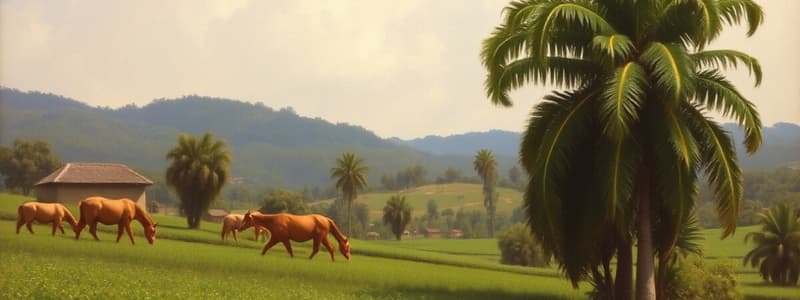 Historia de Toluviejo, Sucre, Colombia