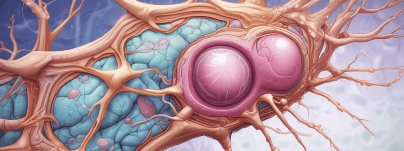 Apocrine Glands Structure and Development