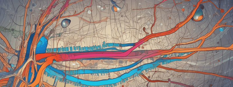 Y1S1 010 III Physiology Neuroscience: Resting Membrane Potential and the Goldman Equation