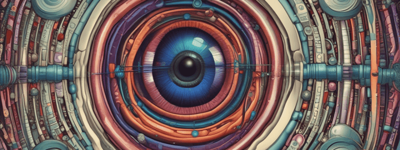 Ocular Cholinergic Agonists and Antagonists