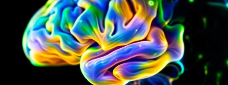 Neuroscientific Techniques & Cognition 1