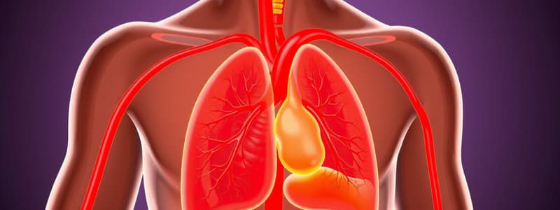 Circulatory System Overview