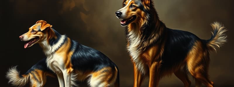 Canine History & Evolution Quiz