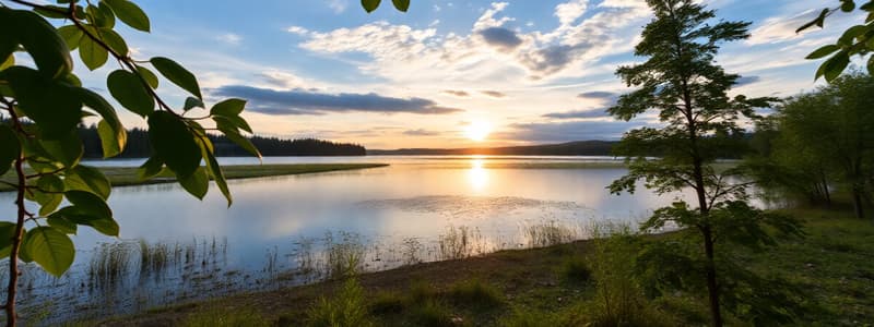 Kylmät ja lämpimät laskutuulet