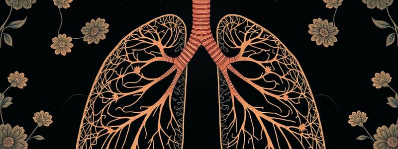 Respiratory System Quiz