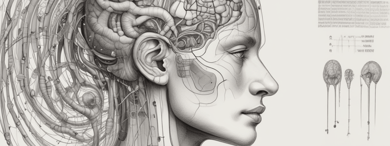 Auditory System Quiz - Neuroanatomy