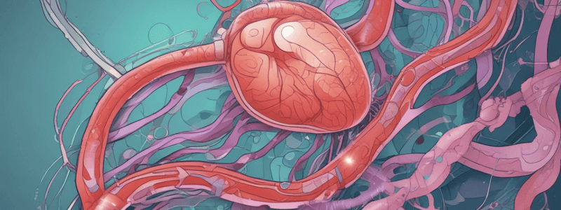 NCUK Biology: Fertilization, Implantation, and Placenta