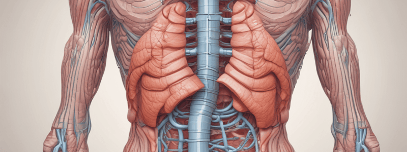 26.2 Upper Gastrointestinal Tract and Associated Accessory Digestive Structures