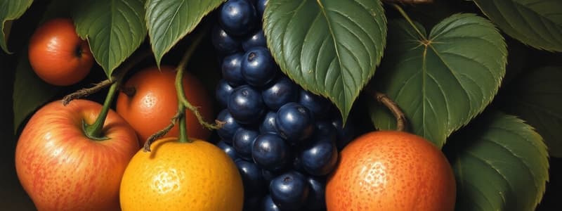 Fruits Classification Quiz