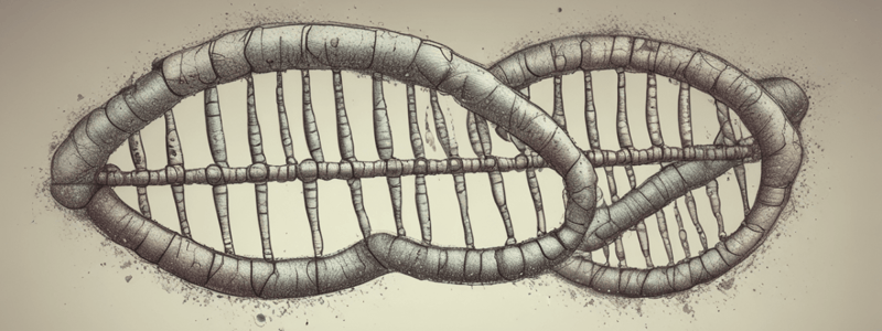 Genetics: Inheritance, Alleles, Chromosomes, and Nucleic Acids