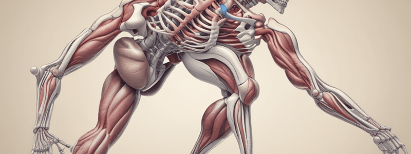 Drugs Acting on the Skeletal Muscle Systems Quiz