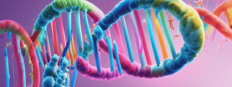 Function of Nucleic Acids