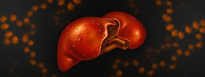 Gluconeogenesis Overview