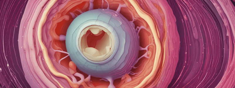 Ultrasound Imaging of Simple Cysts