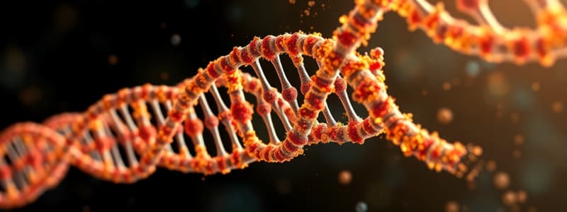 Biology Chapter: DNA Replication and Transcription