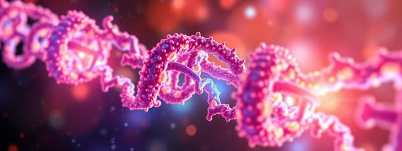 Heterochromatin and Euchromatin Overview