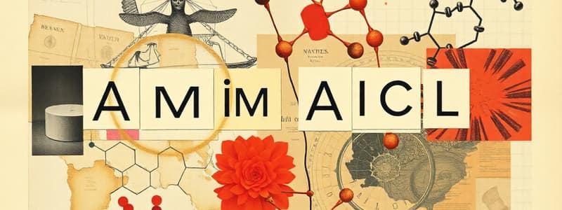 Amino Acids Overview