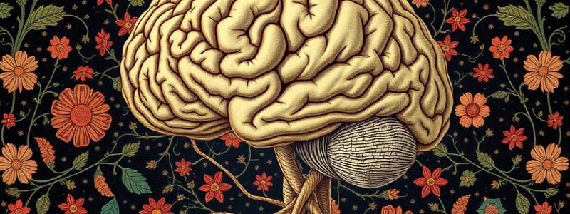 Structure Of The Nervous System