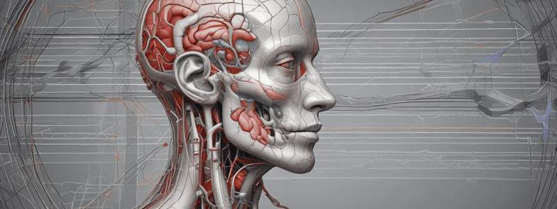 Biologie 2023 - Neurologie a krevní skupiny