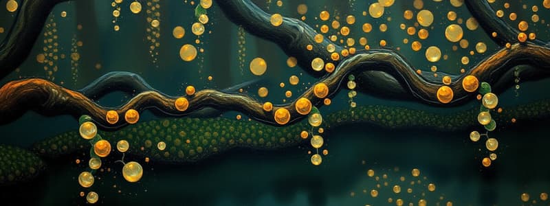 Acetylcholine Channel and Cell Membrane