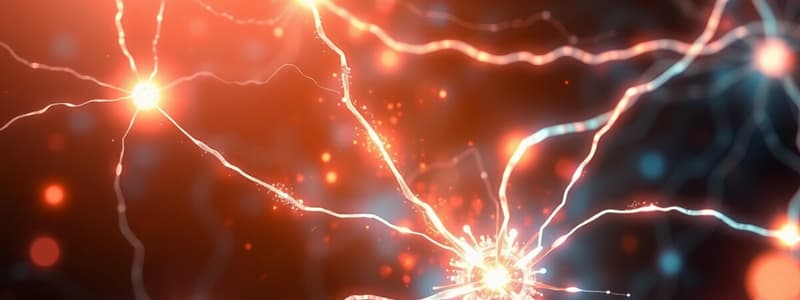 Neuroscienze: Sinapsi e Potenziale d'Azione