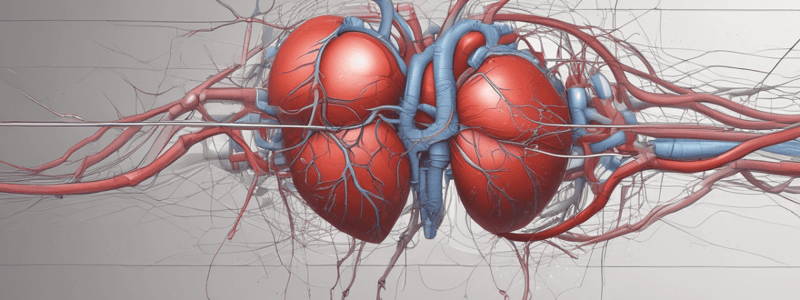 Intro to Cardiovascular System